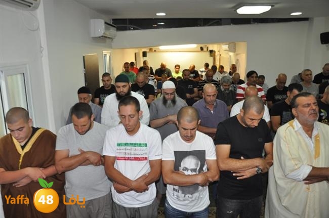 tarawee7 fateh mosqueeq (4).JPG